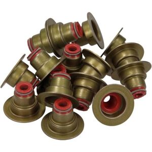 REINZ 12-36613-01 Valve Stem Seal Set - Engine Parts REINZ 12-36613-01 Valve Stem Seal Set - Engine Parts