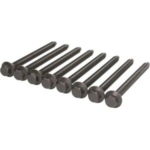 REINZ Cylinder Head Bolt Kit - 14-32344-01 REINZ Cylinder Head Bolt Kit - 14-32344-01
