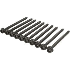 REINZ 14-32385-01 Viti Testa Cilindro - Per VW, Audi, Seat, Skoda REINZ 14-32385-01 Viti Testa Cilindro - Per VW, Audi, Seat, Skoda