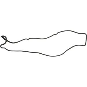 REINZ Model 71-10119-00 Kleppendekselpakking - Kleppendekselpakking voor Motor REINZ Model 71-10119-00 Kleppendekselpakking - Kleppendekselpakking voor Motor