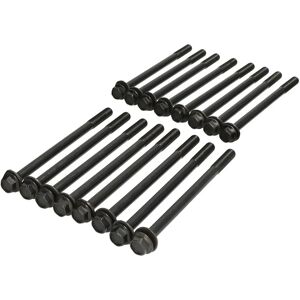 REINZ 14-10491-01 Set di viti di testa cilindro a testa esagonale - Per Dodge, Jeep, Ram REINZ 14-10491-01 Set di viti di testa cilindro a testa esagonale - Per Dodge, Jeep, Ram