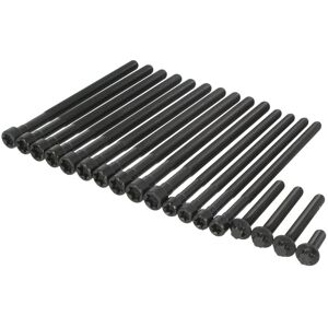 REINZ Skruvset - Inre Torx Huvud - Skruvset för Cylindertopp REINZ Skruvset - Inre Torx Huvud - Skruvset för Cylindertopp
