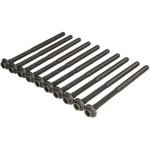 REINZ 14-10013-01 Zylinderkopfschraubensatz - Innenpolygon - Volvo XC90 XC60 V70 V60 REINZ 14-10013-01 Zylinderkopfschraubensatz - Innenpolygon - Volvo XC90 XC60 V70 V60
