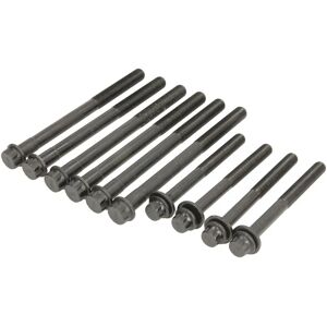 Kit de tornillos de culata REINZ 14-13344-01 para Toyota Land Cruiser Prado 150 Kit de tornillos de culata REINZ 14-13344-01 para Toyota Land Cruiser Prado 150