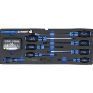 BGS TECHNIC Tool Organizer with Foam Insert - Screwdrivers, Bits, Magnetic Pickup BGS TECHNIC Tool Organizer with Foam Insert - Screwdrivers, Bits, Magnetic Pickup