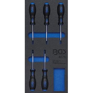 BGS Tool Organizer Insert - 5 T-Profile Torx Screwdrivers BGS Tool Organizer Insert - 5 T-Profile Torx Screwdrivers