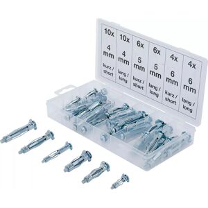 BGS TECHNIC Assortiment de Chevilles - Molly Bolts BGS TECHNIC Assortiment de Chevilles - Molly Bolts