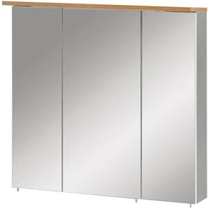 Armoire Miroir de Salle de Bain Gris Schildmeyer Profil - Armoire à Médicament - Publicité Armoire Miroir de Salle de Bain Gris Schildmeyer Profil - Armoire à Médicament - Publicité