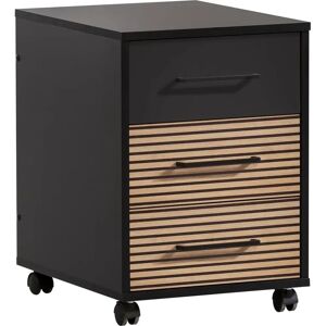 SCHILDMEYER Hank Aufbewahrungscontainer - Made in Germany, 40cm breit, schwarz SCHILDMEYER Hank Aufbewahrungscontainer - Made in Germany, 40cm breit, schwarz