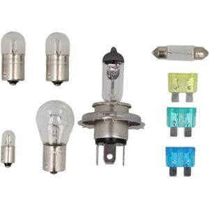 Philips 13336MDBVS2 Halogeen 24V/70W Blue Vision - Auto Verlichting Philips 13336MDBVS2 Halogeen 24V/70W Blue Vision - Auto Verlichting