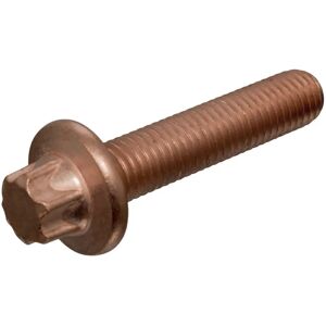 Febi Bilstein Kiinnitys - Pakoputkisto Ruuvi - 60mm, M10 x 1,5, Messinki Febi Bilstein Kiinnitys - Pakoputkisto Ruuvi - 60mm, M10 x 1,5, Messinki