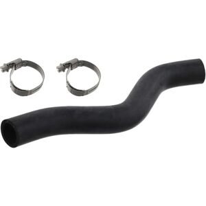 FEBI BILSTEIN 49097 Durite de refroidissement - Pièce de refroidissement - Publicité FEBI BILSTEIN 49097 Durite de refroidissement - Pièce de refroidissement - Publicité