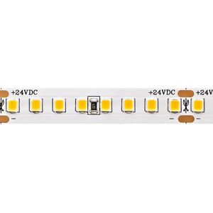 Ruban LED Sigor 2700K 5m 160 LED/m IP20 24V 2117lm RA90 - Ruban LED - Publicité Ruban LED Sigor 2700K 5m 160 LED/m IP20 24V 2117lm RA90 - Ruban LED - Publicité