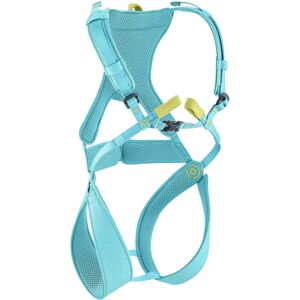 Edelrid Kids Climbing Harness Icemint - Adjustable & Worn-in Edelrid Kids Climbing Harness Icemint - Adjustable & Worn-in