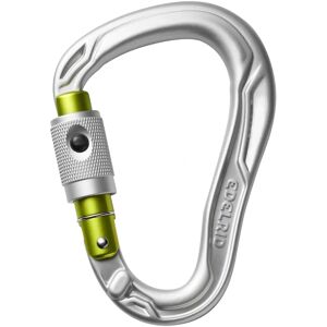 Edelrid Bullet Permalock Zilver - Karabiner - Lichtgewicht, Veilig, Categorie 3 Edelrid Bullet Permalock Zilver - Karabiner - Lichtgewicht, Veilig, Categorie 3