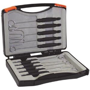 Forchette per immersione nel cioccolato Schneider - Set da 10 Forchette per immersione nel cioccolato Schneider - Set da 10