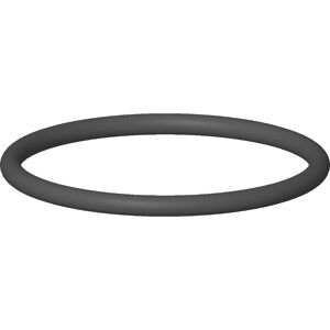 Dornbracht Model 09141014990 - O-ring 34x2.5 voor geurafvoer Dornbracht Model 09141014990 - O-ring 34x2.5 voor geurafvoer