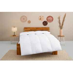 ÄLGDRÖM - Luleå Bettdecke - Weiß - 155x220 cm - Duvet ÄLGDRÖM - Luleå Bettdecke - Weiß - 155x220 cm - Duvet
