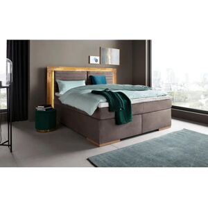 PLACES OF STYLE Cup Mikrofaser Boxspringbett - Boxspringbett PLACES OF STYLE Cup Mikrofaser Boxspringbett - Boxspringbett