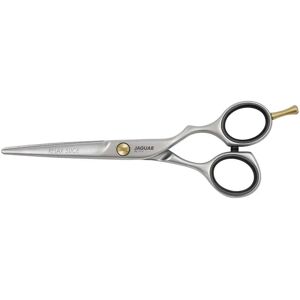 Jaguar PreStyle Relax Polished Slice Hairdressing Scissors - Hair Type Jaguar PreStyle Relax Polished Slice Hairdressing Scissors - Hair Type