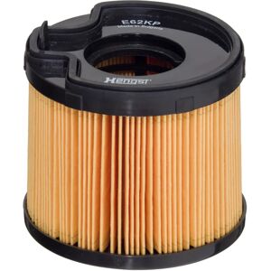 Filtro Carburante Hengst D91 - Per Citroën Peugeot 206, 307, 306 Filtro Carburante Hengst D91 - Per Citroën Peugeot 206, 307, 306