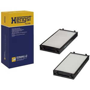 Filtro aria interno Hengst per BMW X5 X6 - Filtro antipolvere Filtro aria interno Hengst per BMW X5 X6 - Filtro antipolvere