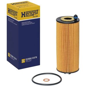 Filtro Olio Hengst E258H D379 - Per BMW 3, 4, X3, X4 Filtro Olio Hengst E258H D379 - Per BMW 3, 4, X3, X4