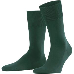 Falke Climawool Socken - Hunter Green - Socken Falke Climawool Socken - Hunter Green - Socken