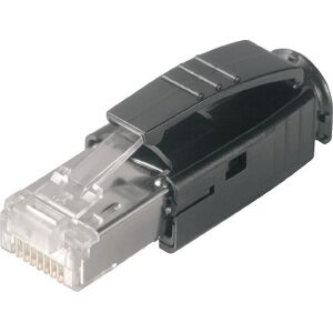 Weidmüller IE-PS-RJ45-TH-BK RJ-45 Schwarz - Datensteckverbinder für Sensoren/Aktoren Weidmüller IE-PS-RJ45-TH-BK RJ-45 Schwarz - Datensteckverbinder für Sensoren/Aktoren