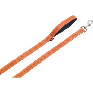 Laisse Nobby 78516-04 pour chien/chat - Nylon - Orange - Publicité Laisse Nobby 78516-04 pour chien/chat - Nylon - Orange - Publicité
