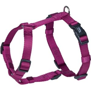 Nobby Hundegeschirr Classic - Hund, Halsband + Leine Nobby Hundegeschirr Classic - Hund, Halsband + Leine