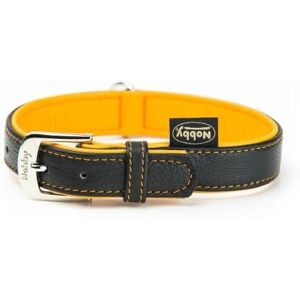 Nobby Pacific - Pacific Leather - Orange - XS - Collier pour chien - Publicité Nobby Pacific - Pacific Leather - Orange - XS - Collier pour chien - Publicité