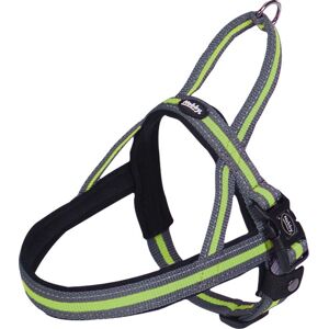 Nobby Norwegergeschirr Variado, B: 20/25mm; L: 36cm + 38-50 cm, jaune néon - Harnais pour chien - Publicité Nobby Norwegergeschirr Variado, B: 20/25mm; L: 36cm + 38-50 cm, jaune néon - Harnais pour chien - Publicité