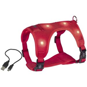Harnais LED Nobby pour chien - Mesh réfléchissant, Réglable, Sécurité - Publicité Harnais LED Nobby pour chien - Mesh réfléchissant, Réglable, Sécurité - Publicité