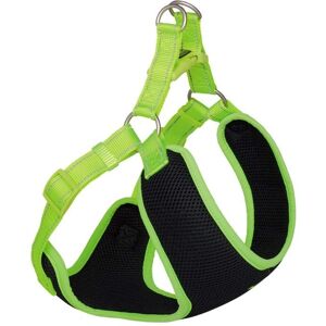 Victoria Green Sexy Lingerie Set - 4 Piece Garter Belt Bra Panty Victoria Green Sexy Lingerie Set - 4 Piece Garter Belt Bra Panty