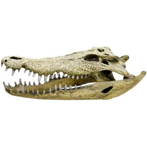 Nobby 28108 Beige Aquarium Decoration - Krokodil Skull Nobby 28108 Beige Aquarium Decoration - Krokodil Skull
