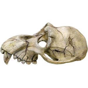 Nobby 28253 Aquarium Decoration - Beige Nobby 28253 Aquarium Decoration - Beige