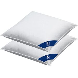 Spessarttraum Laax Kopfkissen-Set - 3-Kammer, Baumwolle, Allergiker Spessarttraum Laax Kopfkissen-Set - 3-Kammer, Baumwolle, Allergiker