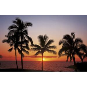 Komar Hawaii Photomural - 368x254cm - 8-piece Wallpaper Komar Hawaii Photomural - 368x254cm - 8-piece Wallpaper