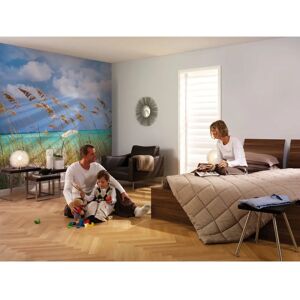 KOMAR Brezza Oceanica Carta da Parati - 8 Rotoli, Blu-Verde-Beige KOMAR Brezza Oceanica Carta da Parati - 8 Rotoli, Blu-Verde-Beige