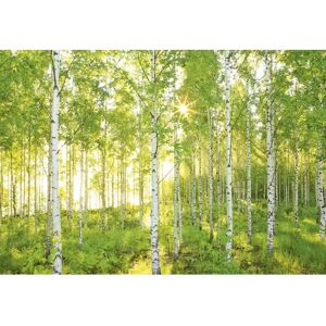 Trenddeko KO8-519 Wandbild - Natur, Wald, Meer - Innenraumdekor Trenddeko KO8-519 Wandbild - Natur, Wald, Meer - Innenraumdekor