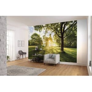 KOMAR Golden Moment Wallpaper - Colorful, Lightfast, German Quality KOMAR Golden Moment Wallpaper - Colorful, Lightfast, German Quality