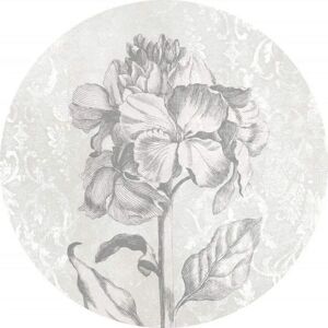 Pared de papel Barock Beauty negro y blanco 125x125 cm Autoadhesivo Pared de papel Barock Beauty negro y blanco 125x125 cm Autoadhesivo