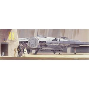 KOMAR MillenniumFalcon Fototapete - Film & Comic Stil KOMAR MillenniumFalcon Fototapete - Film & Comic Stil