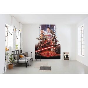 KOMAR Poster Star Wars Rey pour Mur - Type de Mur KOMAR Poster Star Wars Rey pour Mur - Type de Mur