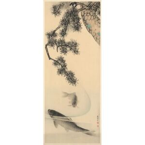 KOMAR Koi Tapete - Natürliche & Bunte - 100x250cm - Tapete KOMAR Koi Tapete - Natürliche & Bunte - 100x250cm - Tapete