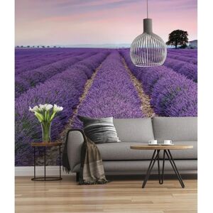 KOMAR Provence Lila Blumen Wandbild - Tapete KOMAR Provence Lila Blumen Wandbild - Tapete