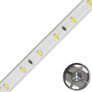 EVN LED Streifen - 24V 5m Weiß - LED-Strip 24V 5m 4000K EVN LED Streifen - 24V 5m Weiß - LED-Strip 24V 5m 4000K