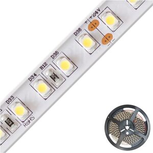 EVN Bande LED 5m Blanc - Éclairage Étanche - Publicité EVN Bande LED 5m Blanc - Éclairage Étanche - Publicité