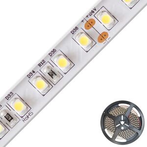 Ruban LED EVN 5m 4000K 24V - Étanche IP67 pour intérieur - Publicité Ruban LED EVN 5m 4000K 24V - Étanche IP67 pour intérieur - Publicité